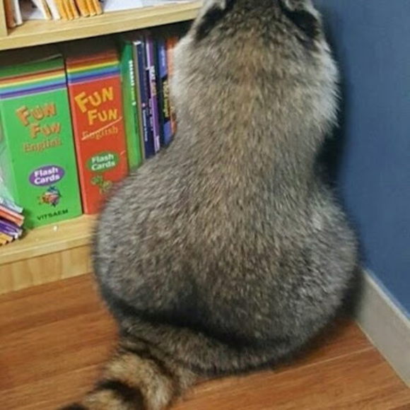 Meet your Posher, Aaron - Picture 1 of 1